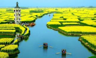 北京出发兴化5日自驾游：李中水上森林公园、兴化水中油菜花5日自驾-推荐
