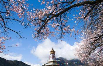 成都出发西藏桃花节14日自驾游：川藏线G318-布达拉宫-羊卓雍措-青海湖14日自驾游-游推荐