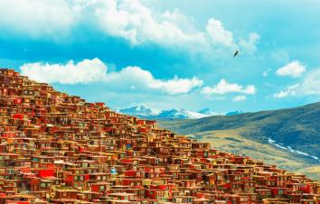 成都出发11日川藏线拼车包车游：新都桥摄影-色达-亚丁-波密11日川藏线包车游-游推荐