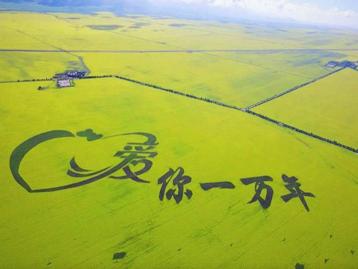 江苏出发青海12日自驾游：青海湖-门源油菜花-黄河三峡-茶卡盐湖12日全程穿越自驾游