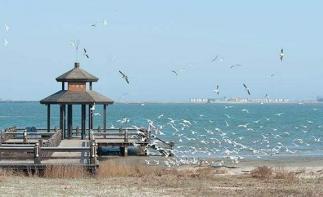 北京周边自驾游：河北唐山抗震纪念馆-菩提岛-运河唐人街2日自驾游-推荐