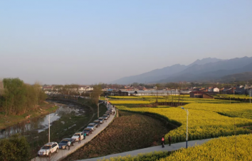 西安出发2日陕西周边自驾游：汉阴油菜花-凤堰古梯田2日采茶赏花自驾游-游推荐