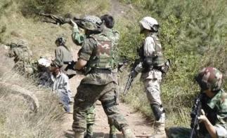 北京周边2日自驾游：实弹射击体验、盘古开天2日河北沧州自驾游-推荐