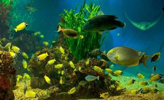 北京出发辽东半岛5日自驾游：鸭绿江风光，大连海洋公园5日自驾-推荐