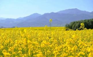 北京周边2日游：衡水湖、周家庄、洪福寺河北2日自驾-推荐