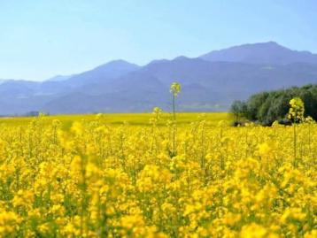北京周边2日游：衡水湖、周家庄、洪福寺河北2日自驾