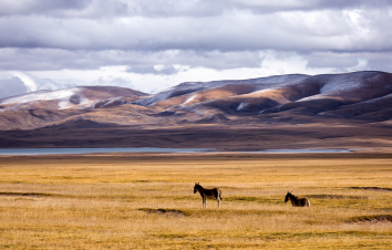拉萨集合阿里11日自驾游：布达拉宫-冈仁波齐-珠峰-古格王朝11日阿里大北环线-游推荐