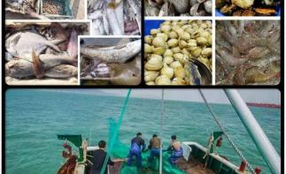 北京至黄骅2日自驾游：黄骅出海-船上现食海鲜大餐-湿地2日自驾游-推荐