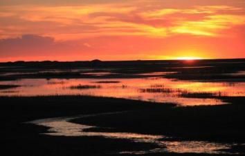 兰州集合7日驰骋大西：额济纳旗胡杨林-局延海-张掖丹霞公园7日甘肃西北自驾游-游推荐