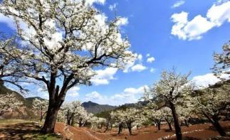 北京周边1日自驾游：霞云岭国家森林公园-金水湖1日自驾游-推荐