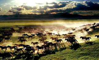 北京出发乌兰布统3日自驾游：浑善达克沙地-乌兰巴托大草原穿越自驾游-推荐