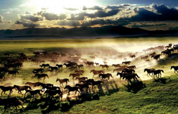 北京出发乌兰布统3日自驾游：浑善达克沙地-乌兰巴托大草原穿越自驾游-游推荐