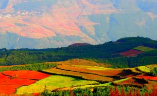 重庆出发云南3日自驾游：大山包观云卷云舒-赏候鸟归来3日自驾之旅-推荐