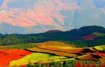 重庆出发云南3日自驾游：大山包观云卷云舒-赏候鸟归来3日自驾之旅-游推荐