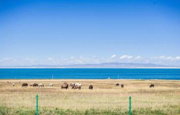 兰州集合2日周边自驾游：大美青海湖-天空之境茶卡盐湖2日周末自驾游-游推荐