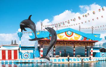 海口集合海南5日环岛自驾游：火山群地质公园-南山文化苑-帆船出海-分界洲岛5日海南亲子自驾-游推荐