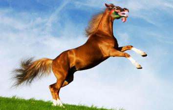 山东出发京北4日自驾游：京北沙漠-金莲川草原-石条山4日休闲自驾游-游推荐