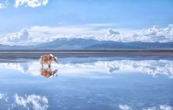 北京出发青海10自驾游：门源油菜花-青海湖-茶卡盐湖-卓尔山10日自驾-游推荐