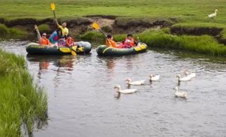 北京出发锡林郭勒3日自驾游：金莲川赏花节-千里草原风景大道-草原水乡3日草原自驾游-推荐