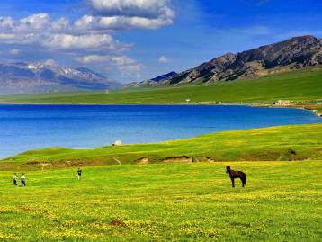 湖南出发新疆21日自驾游：喀纳斯-独库公路-张掖丹霞-乌尔禾魔鬼城21南北疆+西北环线自驾游