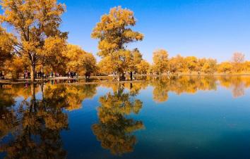 成都出发甘肃内蒙8日自驾游：额济纳旗胡杨林-居延海日出-张掖丹霞8日自驾游-游推荐