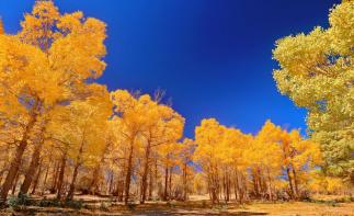 北京出发青海额济纳13日自驾游：青海湖-莫高窟-嘉峪关-胡杨林13日自驾-推荐
