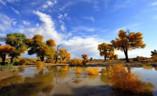 北京出发额济纳旗8日自驾游：胡杨林-居延海-黑水城、西夏王陵8日自驾-推荐