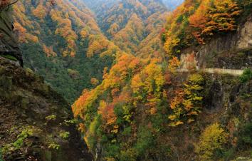 兰州集合青海张掖9日自驾游：水上雅丹-金塔胡杨林-莫高窟-嘉峪关-青海湖-七彩丹霞-游推荐