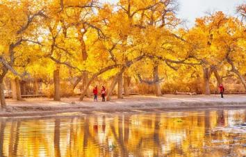 山东出发西北12日自驾游：秘境丝绸路-水上雅丹-青海湖-茶卡盐湖-胡杨林独家策划12日游-游推荐