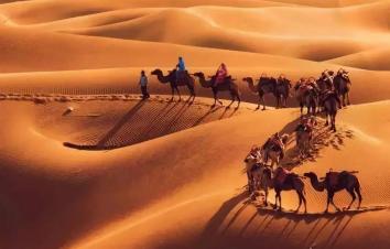 山东出发额济纳7日游：额济纳胡杨林-黑城怪树林-巴丹吉林-张掖丹霞-沙坡头色诱金秋双胡杨之旅-游推荐