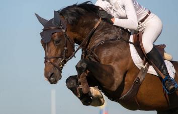 山东出发河北3日游：草原天路-民族文化演出-观马术表演3日草原自驾游-游推荐