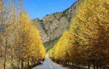 成都出发西北甘南6日自驾游：坎布拉地质公园-青海湖-祁连山-金秋彩林6日畅玩自驾游-游推荐