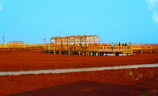 北京出发辽宁4日自驾游：笔架山-红海滩4日自驾游-推荐