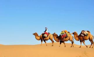 重庆到鄂尔多斯7日自驾游：达拉特旗-康巴什-苏泊罕大草原7日西北风土人情自驾游-推荐