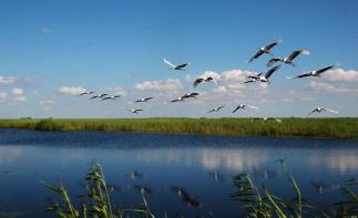 北京周边3日自驾游：河间府署-南大港湿地-周窝音乐小镇3日河北自驾游-推荐