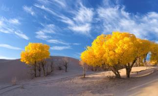 北京出发内蒙额济纳旗8日自驾游：胡杨林-黑水城-波浪谷8日西北自驾游-推荐