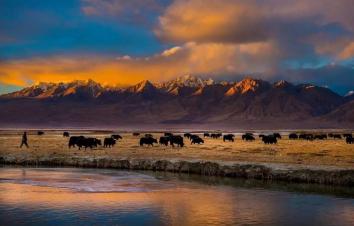 乌鲁木齐出发南疆8日落地自驾游：塔里木胡杨林-喀什-慕士塔雪峰-博斯腾湖8日落地自驾-游推荐