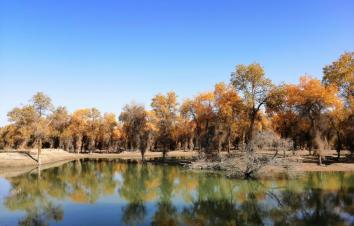 乌鲁木齐集合11日金秋南疆落地自驾游：博斯腾湖-塔里木胡杨林-喀什老城-克孜尔千佛洞11日自驾游-游推荐