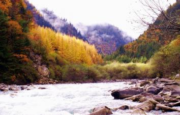 成都出发阿坝奶子沟2日自驾游：羊绒哈德-奶子沟-鹧鸪山2日自驾游-游推荐