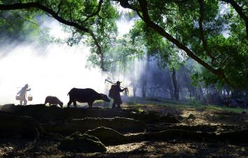 北京出发福建9日自驾游：武夷山-景德镇-杨家溪-狼山9日自驾-游推荐