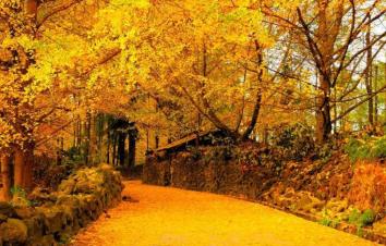 北京出发云南落地10日自驾：腾冲-瑞丽-芒市-昆明10日自驾-游推荐