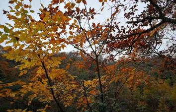 重庆周边3日自驾游：光雾山-十八月潭-米仓山3日赏红叶自驾游-游推荐