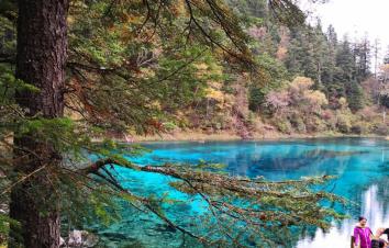 重庆出发九寨沟4日自驾游：萝卜羌寨-九寨沟-黄龙4日川西休闲自驾游-游推荐