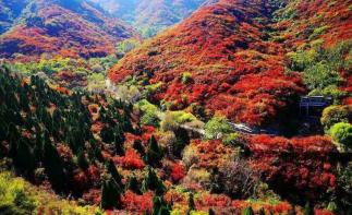 北京出发河北山东8日自驾：石头村、西柏坡、白鹿温泉、王硇村8日自驾-推荐