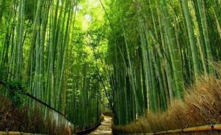 北京出发河南6日自驾：秋沟、地坑院、死海运城盐湖、王府竹海6日自驾-推荐