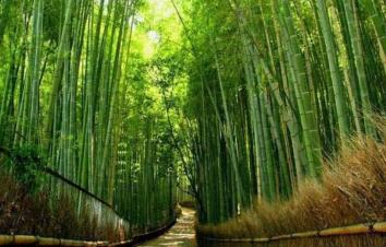 北京出发河南6日自驾：秋沟、地坑院、死海运城盐湖、王府竹海6日自驾-游推荐