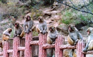 北京出发山西5日自驾：陈家沟，五龙口，皇城相府，平遥古城5日自驾-推荐