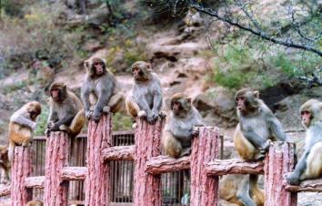 北京出发山西5日自驾：陈家沟，五龙口，皇城相府，平遥古城5日自驾-游推荐