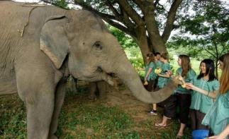 磨憨集合泰北8日自驾游：清迈亲子活动-金三角8日亲子自驾之旅-推荐