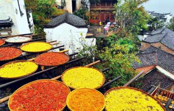 南昌集合江西安徽5日自驾游：婺源-篁岭-黄山-景德镇5日赏秋之旅-游推荐